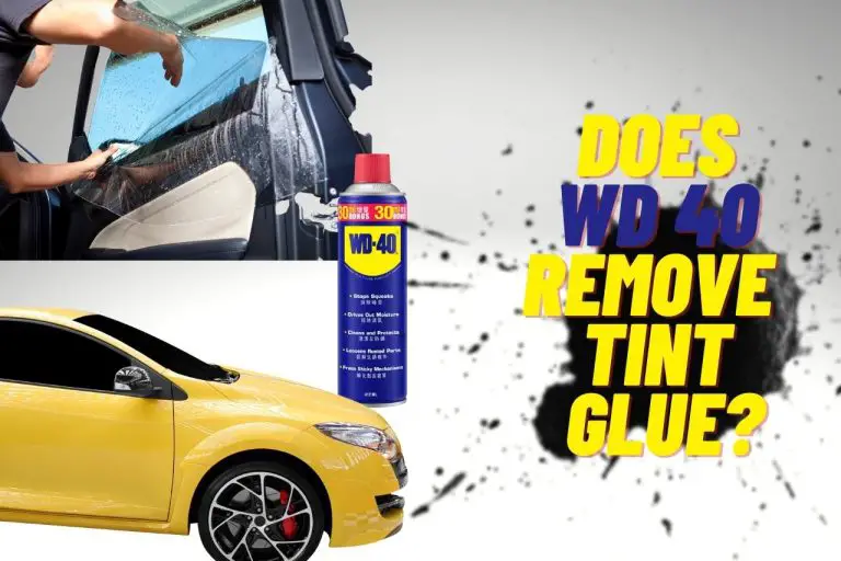 Does WD 40 Remove Tint Glue? [Daily Tips]